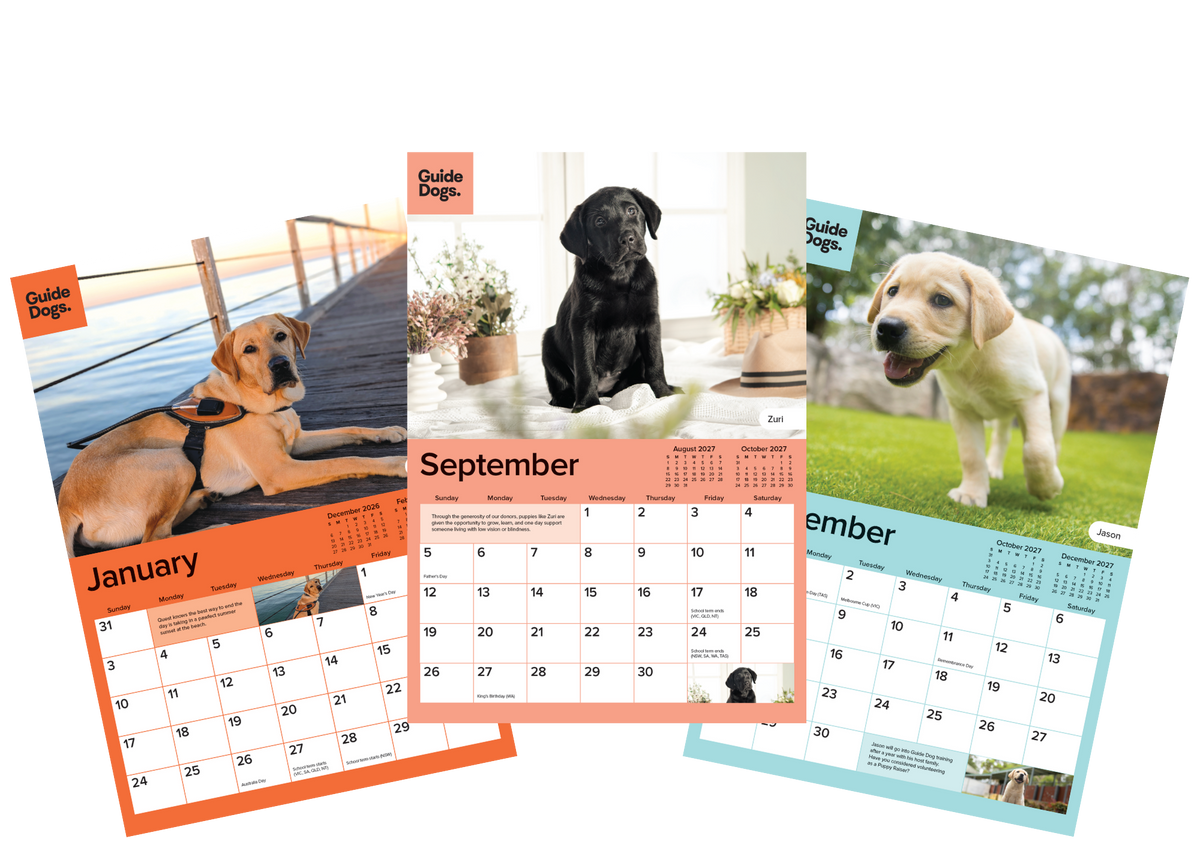 Image of three dog-themed monthly calendar pages fanned out on a white background, each featuring a different dog photo and a pastel-colored calendar grid. The pages include orange, peach, and teal color schemes with the title 'Guide Dogs' visible.