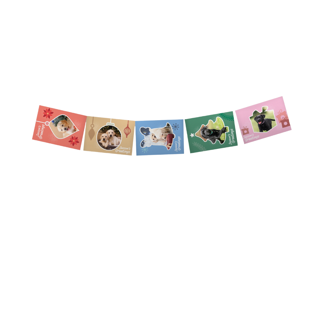 Image of five festive greeting cards strung together, each featuring a dog in holiday attire with colorful backgrounds and decorations