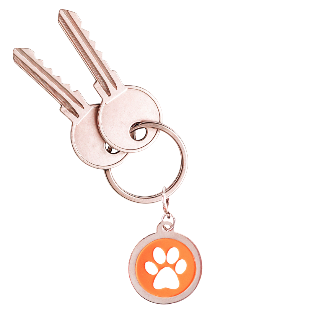 Image of a round metal charm with a white paw print on an orange background hanging from a silver keyring and two keys.