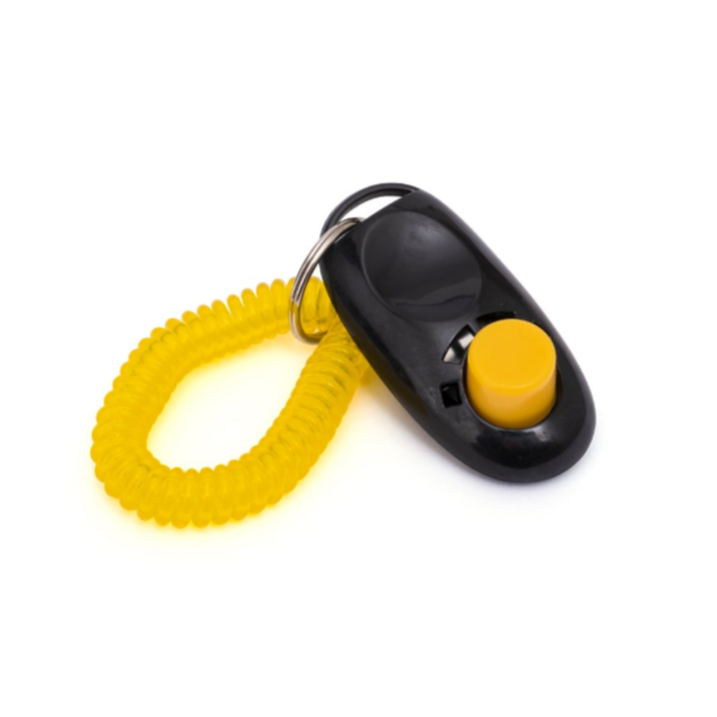 Image of a black and yellow dog training clicker with a coil leash on a white background
