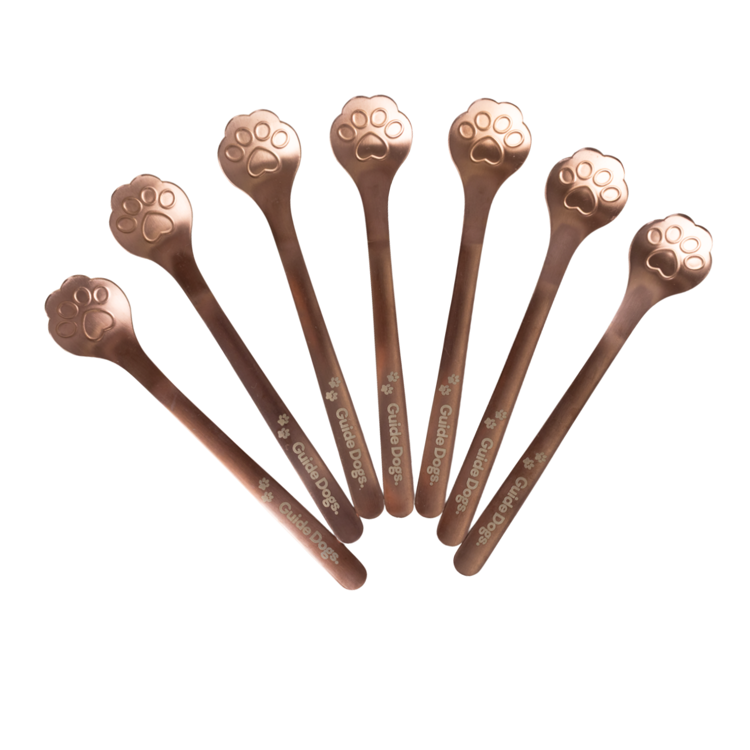 Seven metallic spoons with paw print designs on the handles, arranged in a fan shape. The handles are engraved with Guide Dogs and small paw prints.