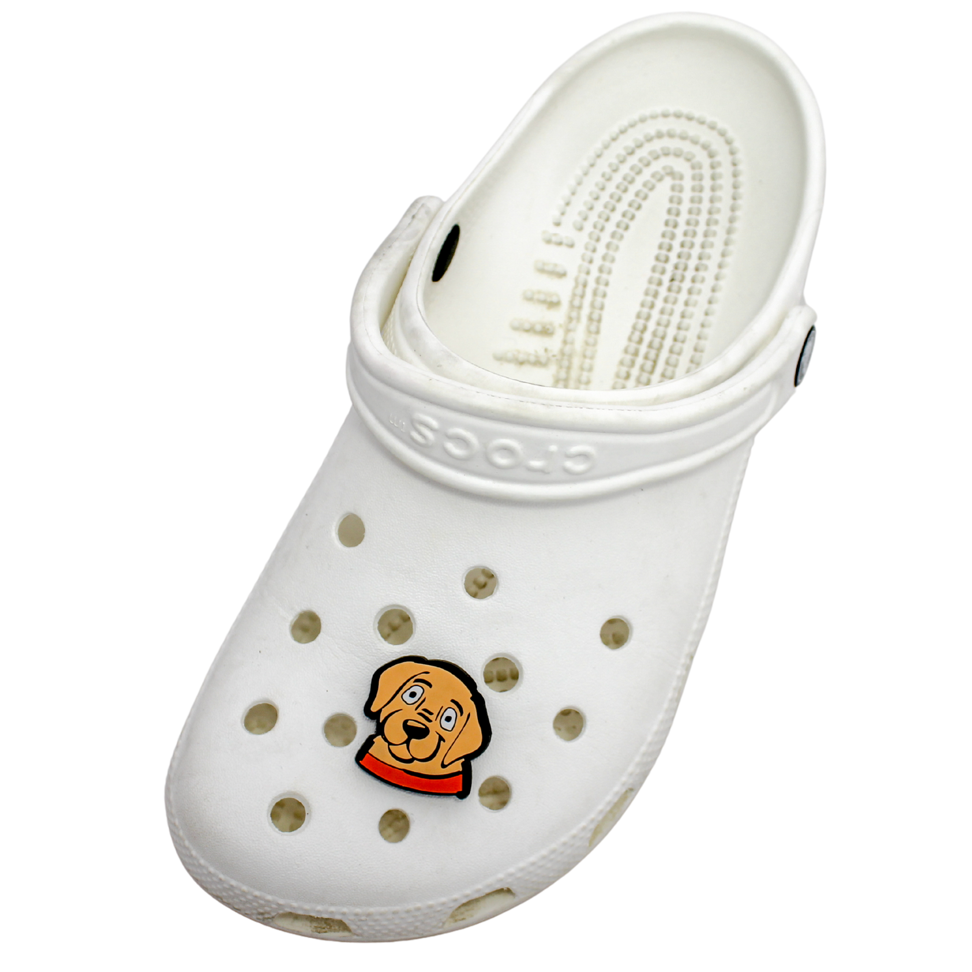 Image of a white clog shoe with a beige puppy face with orange collar Shoe Charm on the front.