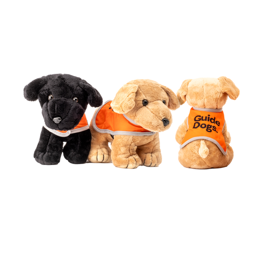 Image of three plush toy dogs in orange vests on a white background