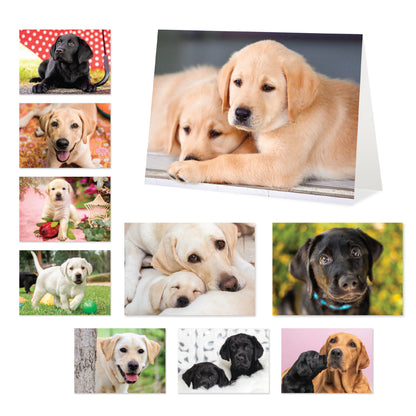 Image of a collage of black and yellow labrador puppies in cute poses.