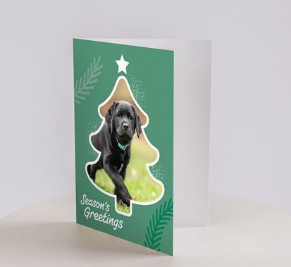 Image of a green card with tree cutout, black puppy and "Season's Greetings" on the front.