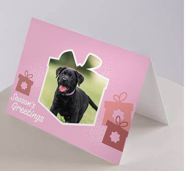 Image of a pink card with black puppy photo, gift images, and “Season’s Greetings” text.