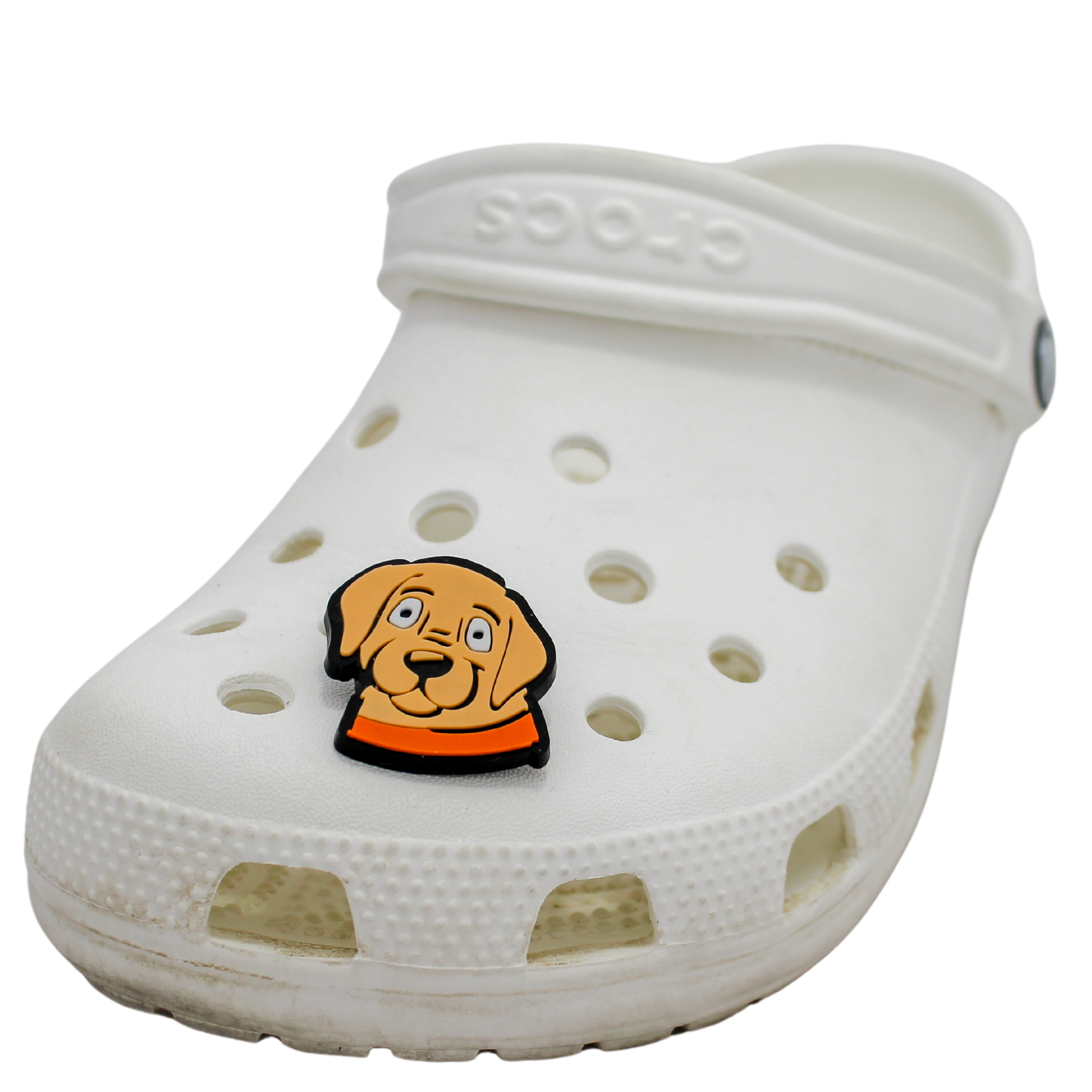 Image of a white clog shoe with a beige puppy face with orange collar Shoe Charm on the front.
