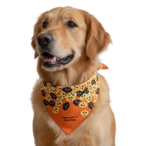Image of a golden retriever in a Puppy Eyes bandana with dog faces.