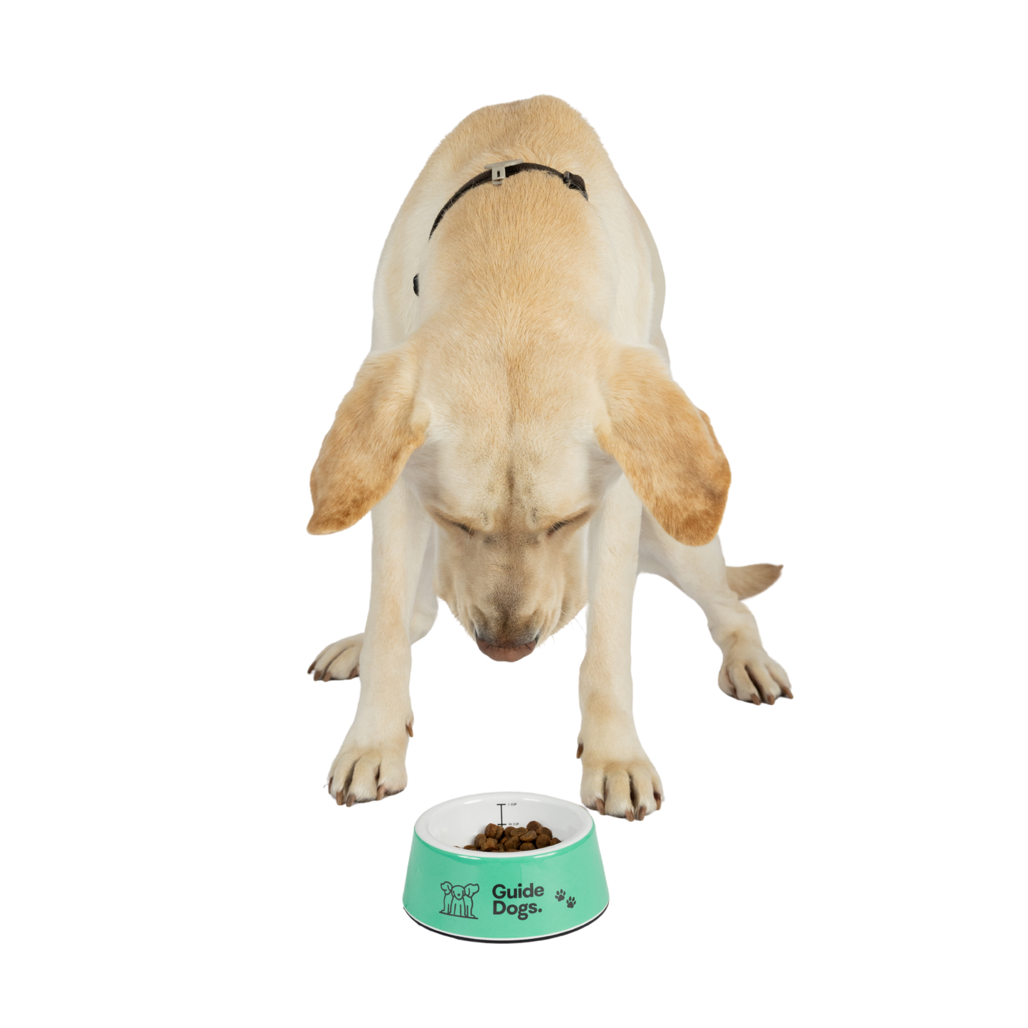 Image of a dog eating from a bowl with 'Guide Dogs' branding on a white background