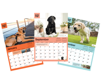 Image of three dog-themed monthly calendar pages fanned out on a white background, each featuring a different dog photo and a pastel-colored calendar grid. The pages include orange, peach, and teal color schemes with the title 'Guide Dogs' visible.