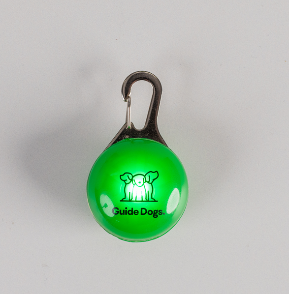 Image of a round green light with an outline image of 3 dogs and the text of 'Guide Dogs'.