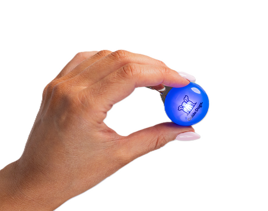 Image of a hand holds a round blue light with an outline image of 3 dogs and the text of 'Guide Dogs'.