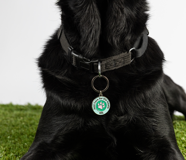 Image of a black dog on grass, wearing a collar with a round tag charm with text of 'Just Here for the Treats' around the blue edge with a pink paw print in the middle of a green circle. 