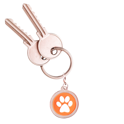 Image of a round metal charm with a white paw print on an orange background hanging from a silver keyring and two keys.