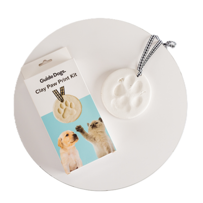 Image of a clay paw print kit with a mold on a white background