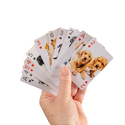 Image of a hand holding a set of playing cards with dog illustrations on a white background