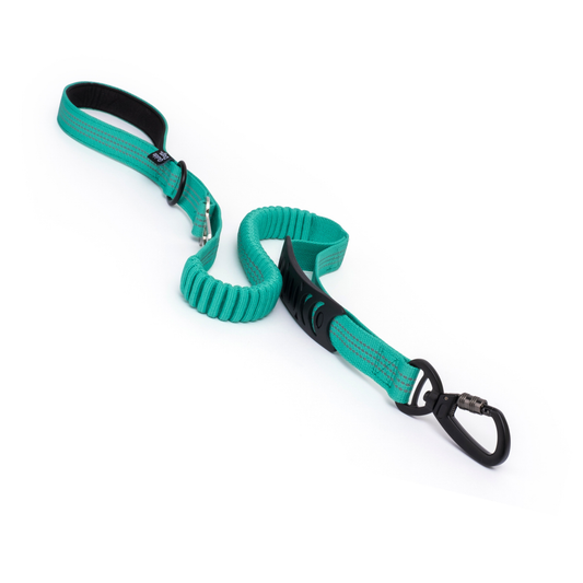 Image of a green dog leash with black hardware on a white background